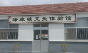 寻艾灸遗韵，传文化薪火